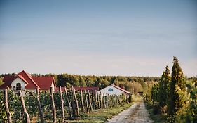 Winnica Mozów
